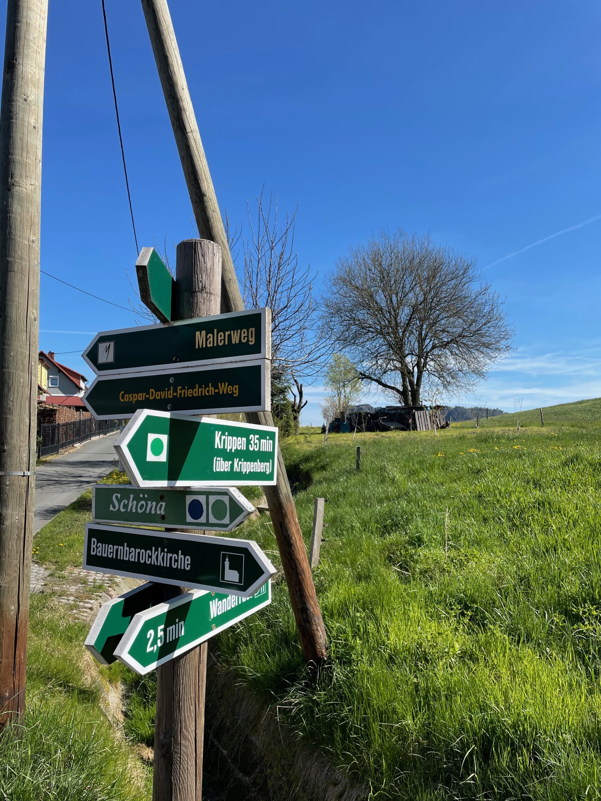 Deutschlands schönster Wanderweg 2025 beginnt bei uns im Krippental